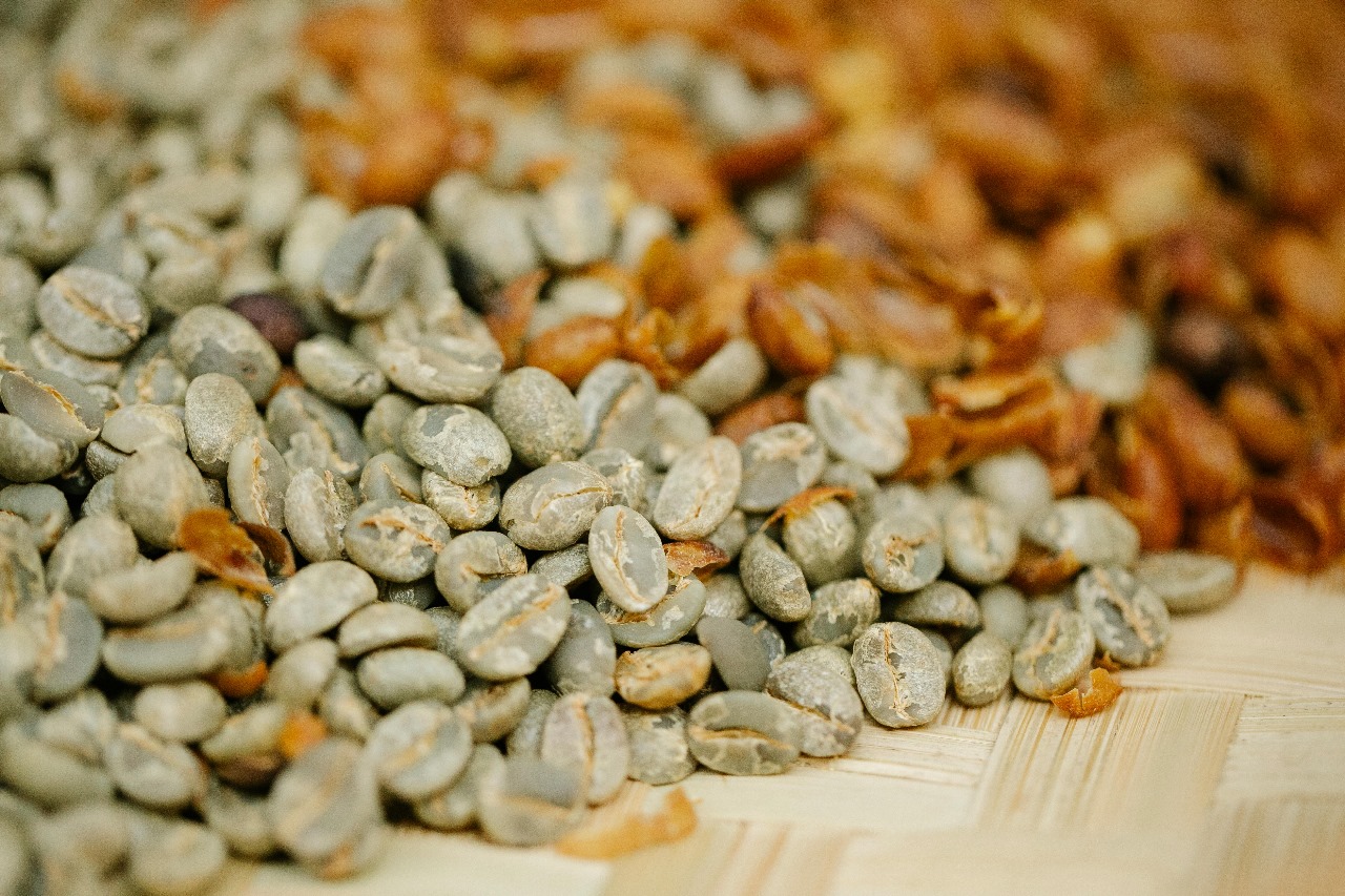 Raw Coffee Beans